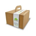 Panettone artigianale