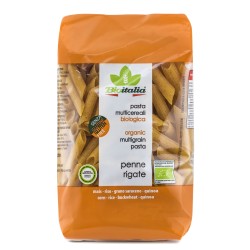 Multigrain penne