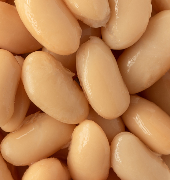 La filiera dei Legumi