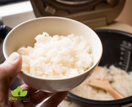 Discover How Many Rice Recipes You Can Invent